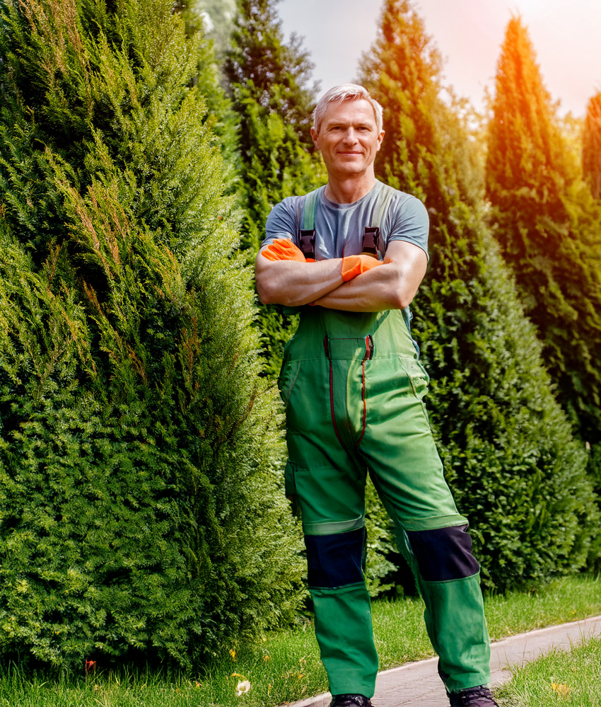 Gärtner gesucht in Köln für Ihren Garten
