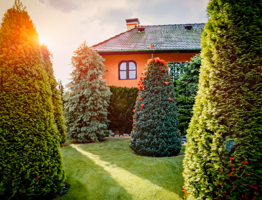 Gepflegter Garten udn gepflegtes Haus Gepflegter Garten udn gepflegtes Haus