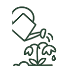 Gießen und entfernen von verwelkten Blumen
