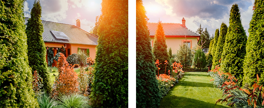 collage Gepflegte Häuser dank Gartenbarbier
